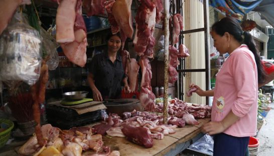 カンボジア養豚業者、密輸を抑制するための取り組みを開始