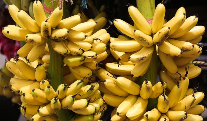 カンボジア、チキン・エッグ・バナナの海外輸出を計画
