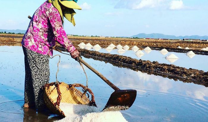  カンボジア製塩業、労働者不足が深刻化