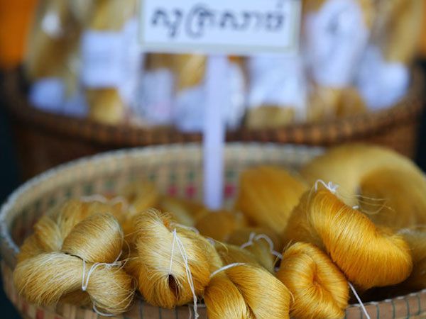 日系企業、カンボジアのシルク生産に投資か