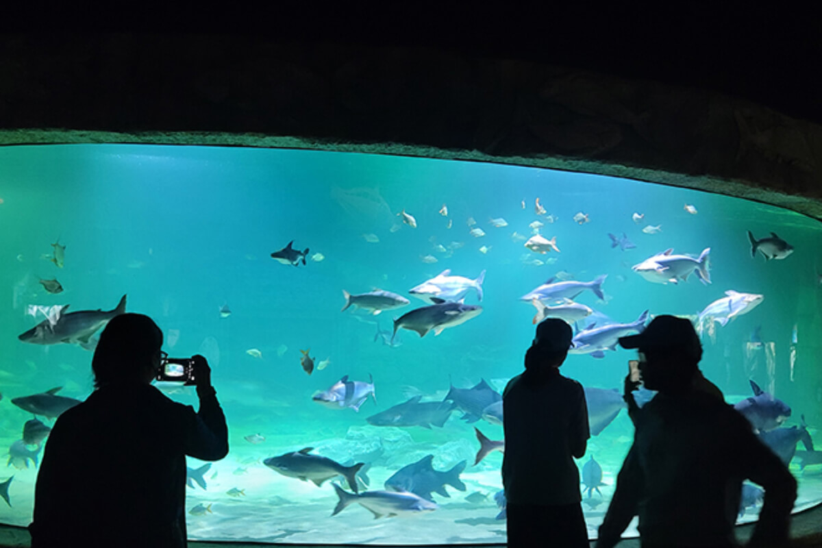 カンボジア初の水族館・動物園複合施設、シェムリアップ州に開園