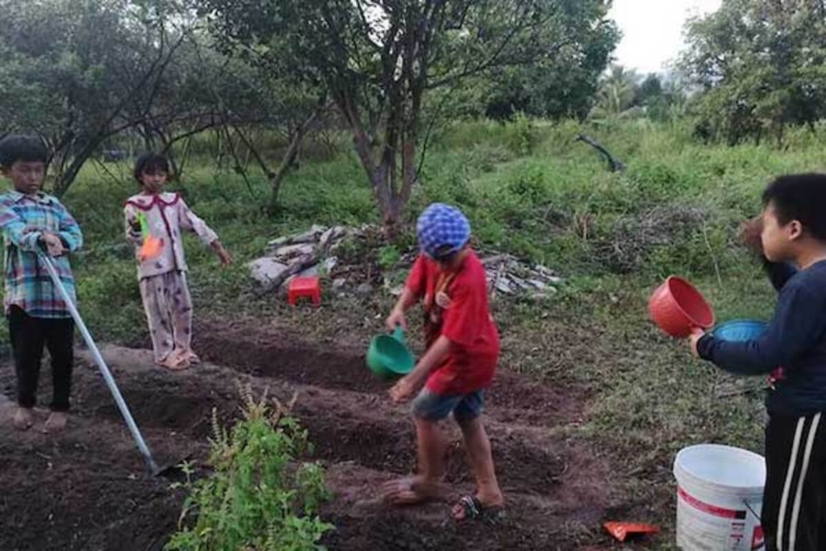 農場の子どもたちが児童労働に従事か、警察が発表