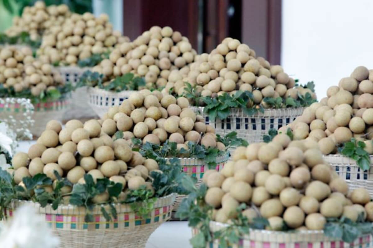 日本の農産物輸入が増加、カンボジアに大きな展望