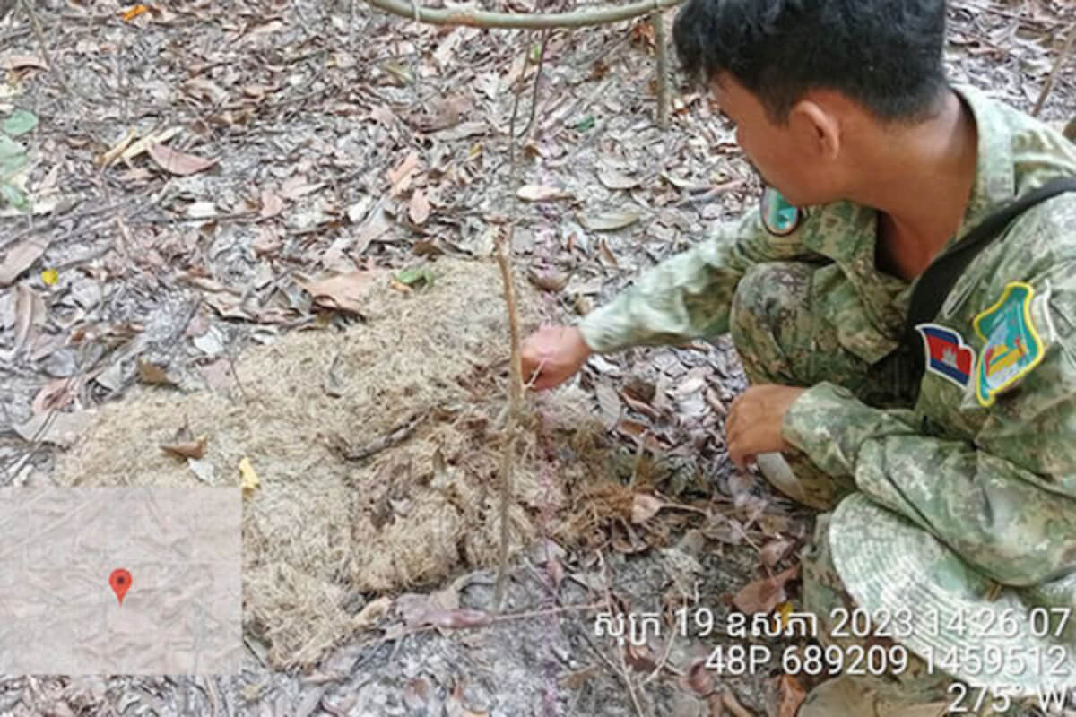 ルンパット野生生物保護区で10年ぶり、野生のアジアゾウが目撃