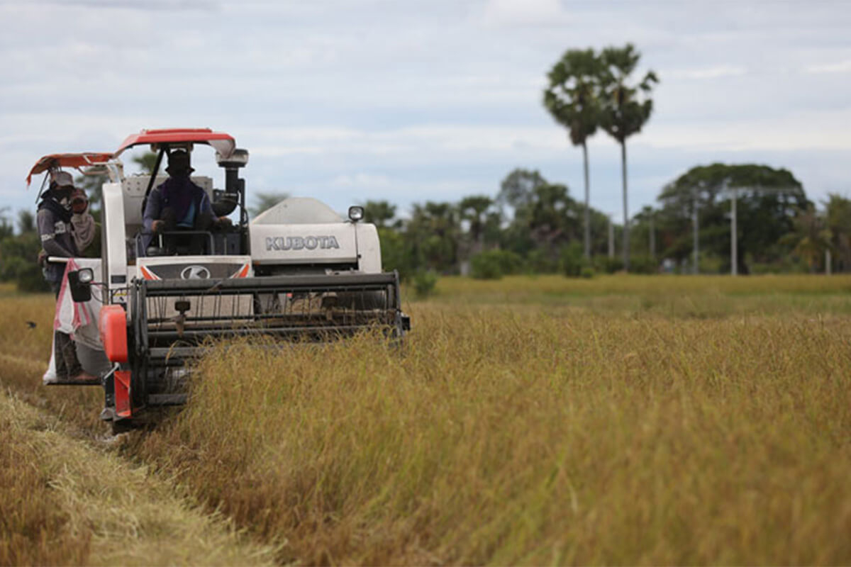 カンボジアの農業振興、1億ドルを準備