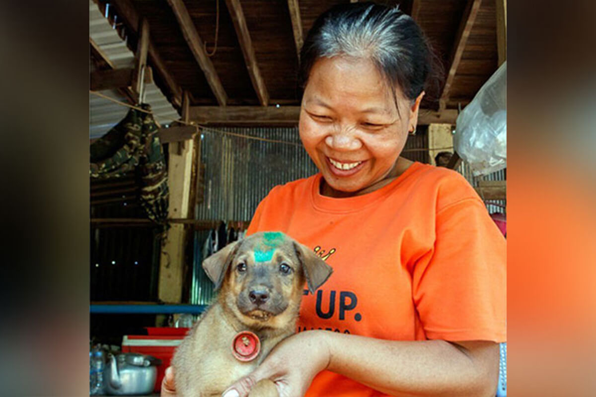 カンボジアの狂犬病対策、プノンペンとカンダル州でワクチン接種実施