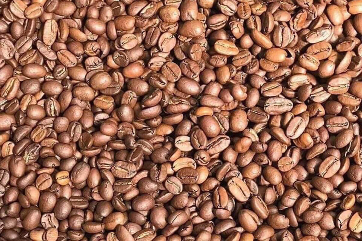 モンドルキリ州のコーヒー豆価格上昇、生産契約が市場価値を向上