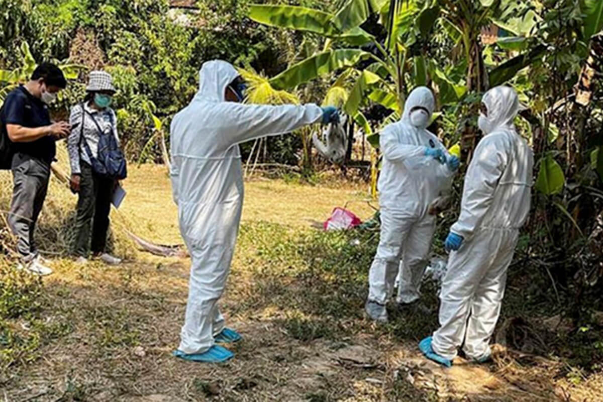 カンボジアで新たに2人が鳥インフルに感染、感染者数は6人に