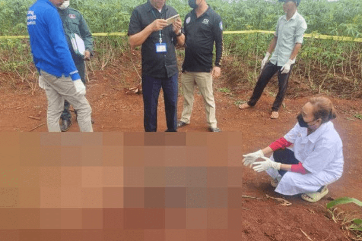 トウモロコシ畑から髪の束、遺棄された外国人遺体を発見