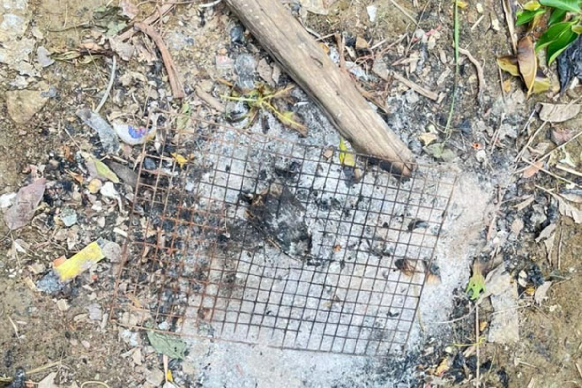 トカゲの卵による食中毒死、野生動物の摂取に警鐘