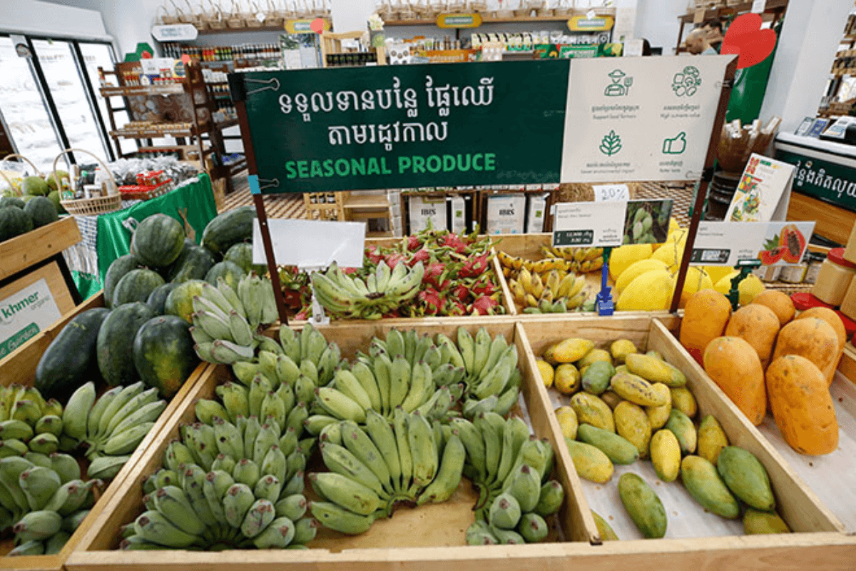 有機農産物市場が急成長、健康志向と安全意識が追い風