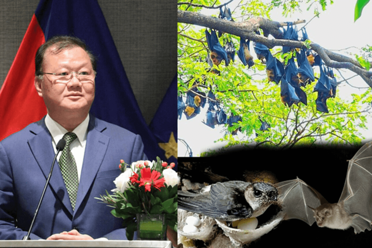 ニパウイルス感染防止、動物接触の回避を呼びかけ