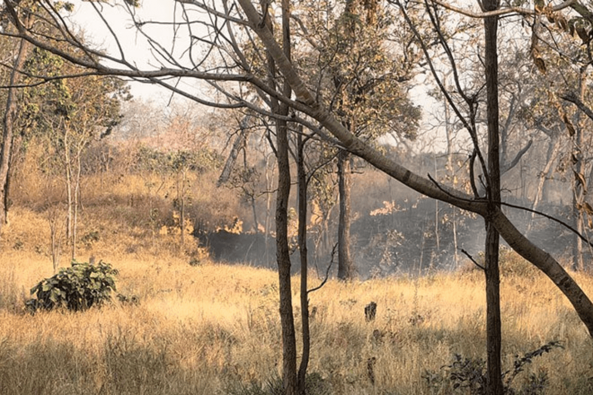 カンボジアの大気汚染、一部地域が中程度に到達
