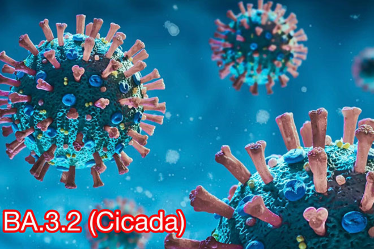 新型コロナ変異株シケーダ、政府が警戒を強化