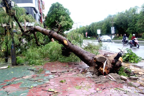 ベトナム、熱帯暴風雨上陸により４人死亡か