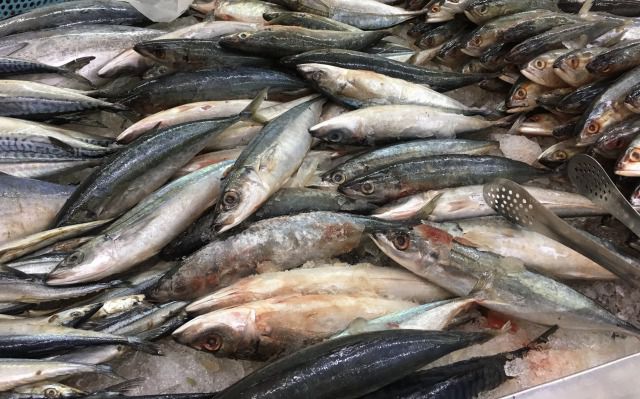 ベトナムで食べられている魚の種類図鑑｜代表的な白身魚や魚肉ソーセージも紹介