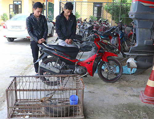 ベトナム中部で犬数百匹窃盗、兄弟2人を逮捕