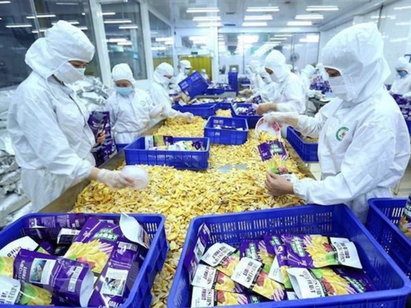 ベトナム：1月の対中貿易額は82億9000万ドル、11.8%減