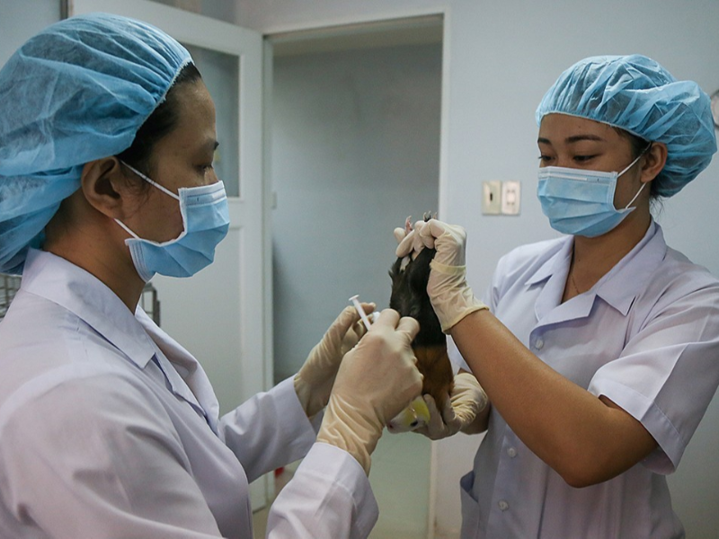 ベトナム：新型コロナワクチン開発、ネズミで実験