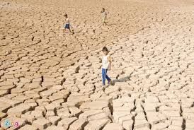 ベトナムは今世紀で最悪の干ばつが発生