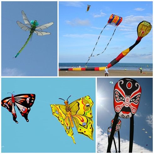 ハノイ　エコパークで国際凧(たこ)祭り開催