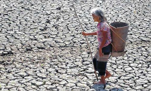 歴史的な干ばつ　ベトナム経済に４億ドルの被害