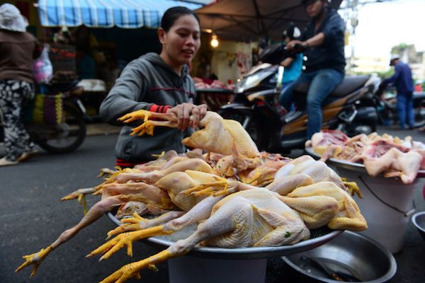 ベトナム南部、市場の豚肉100％が大腸菌で汚染