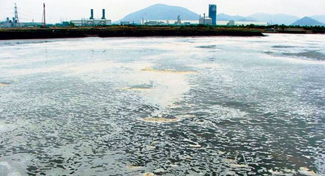 水質汚染が深刻化、環境省が一斉調査へ