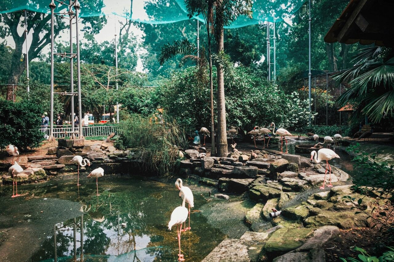 ホーチミン サイゴン動植物園 観光