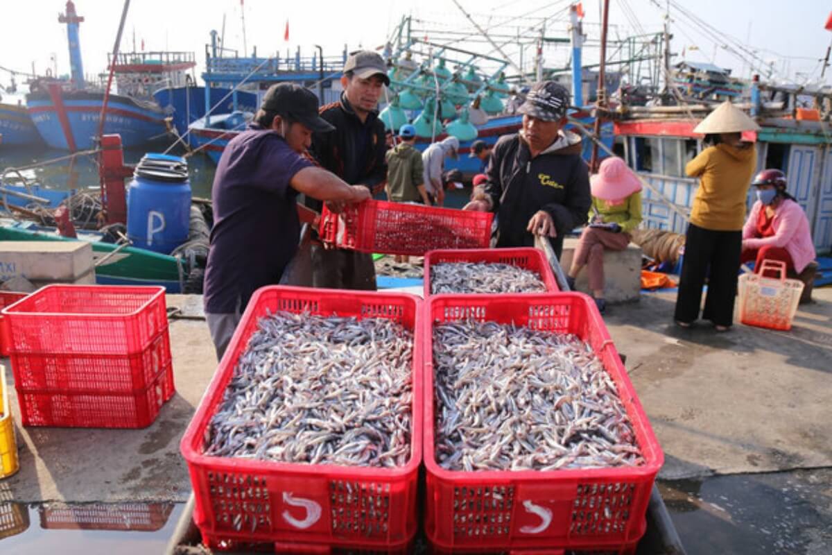ベトナム、水産物輸出額が前年同期比51％増