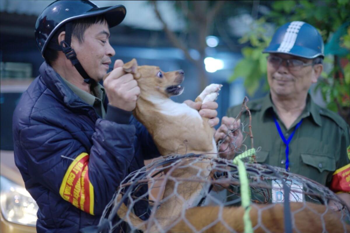 約600人の『犬ねこ捕獲部隊』を発足、野犬問題を解決へ　ハノイ市