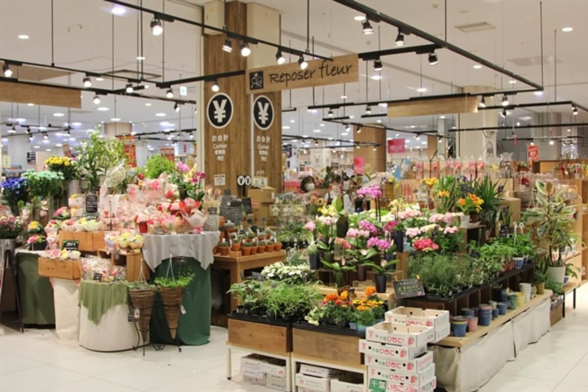 ベトナムの生花、日本市場で人気を博す