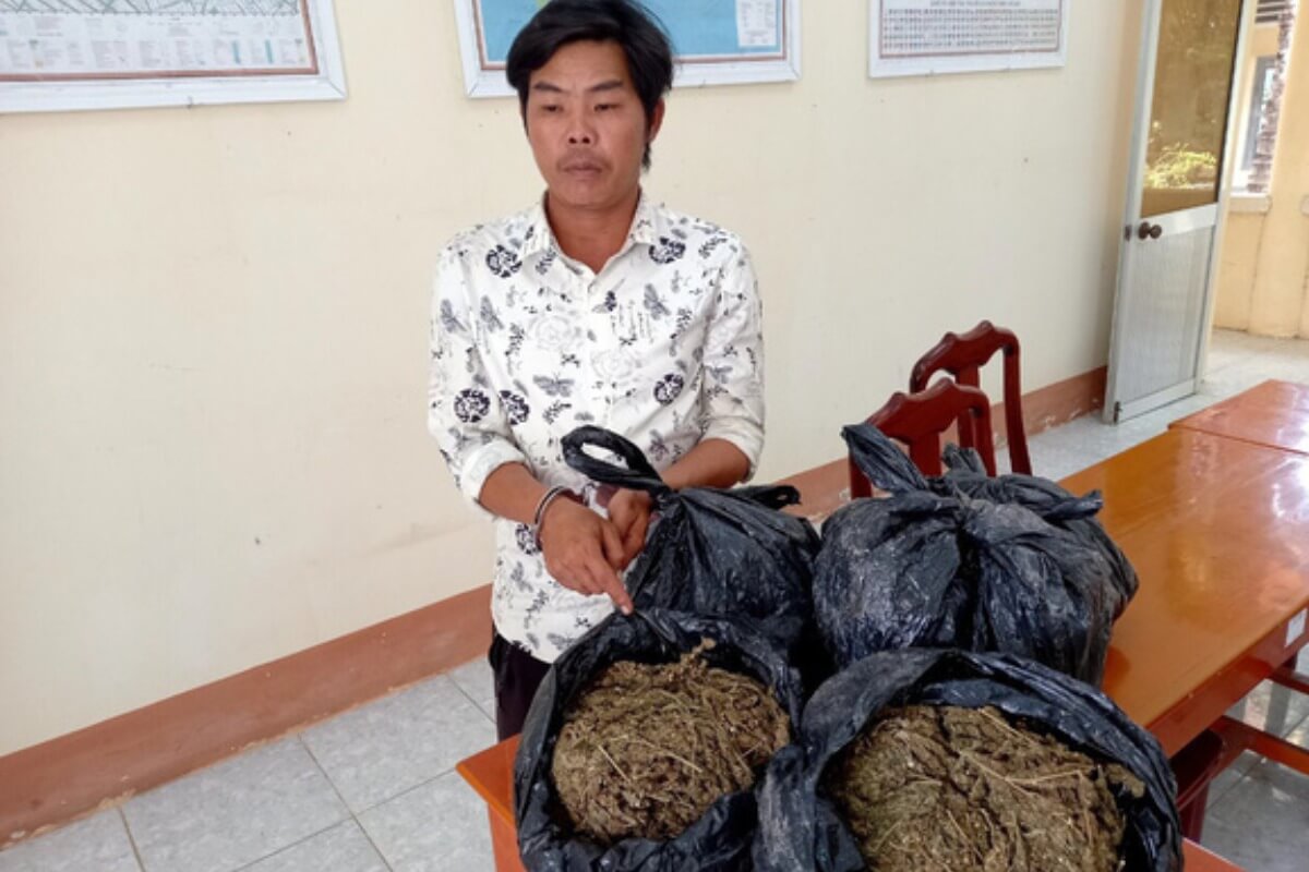 報酬約5500円、カンボジアからベトナムへ大麻5kg密輸の男逮捕