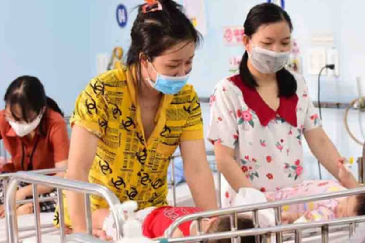 デング熱患者の80％、死者の100％がベトナム南部で記録