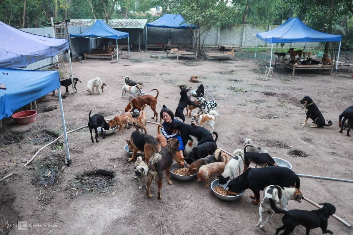 ホーチミンの女性 食肉処理場から500匹の犬や猫を救う ポステ