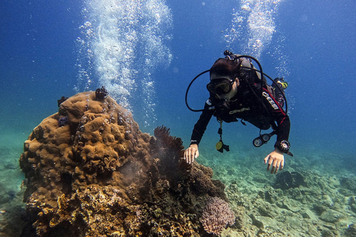 サンゴ礁の保護を目的として監視カメラの設置を検討　ニャチャン