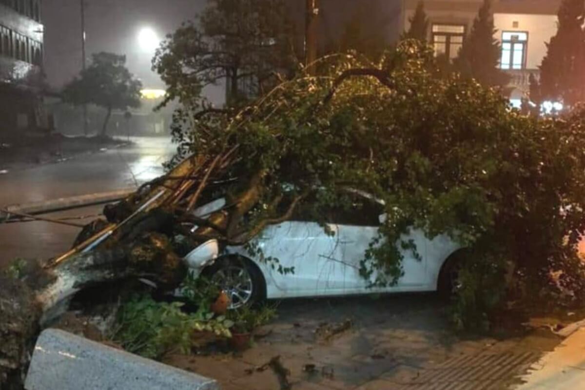 台風マオン、ベトナム北部に上陸