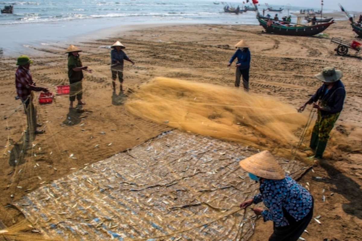 ベトナムの水産物輸出、世界的インフレで減速
