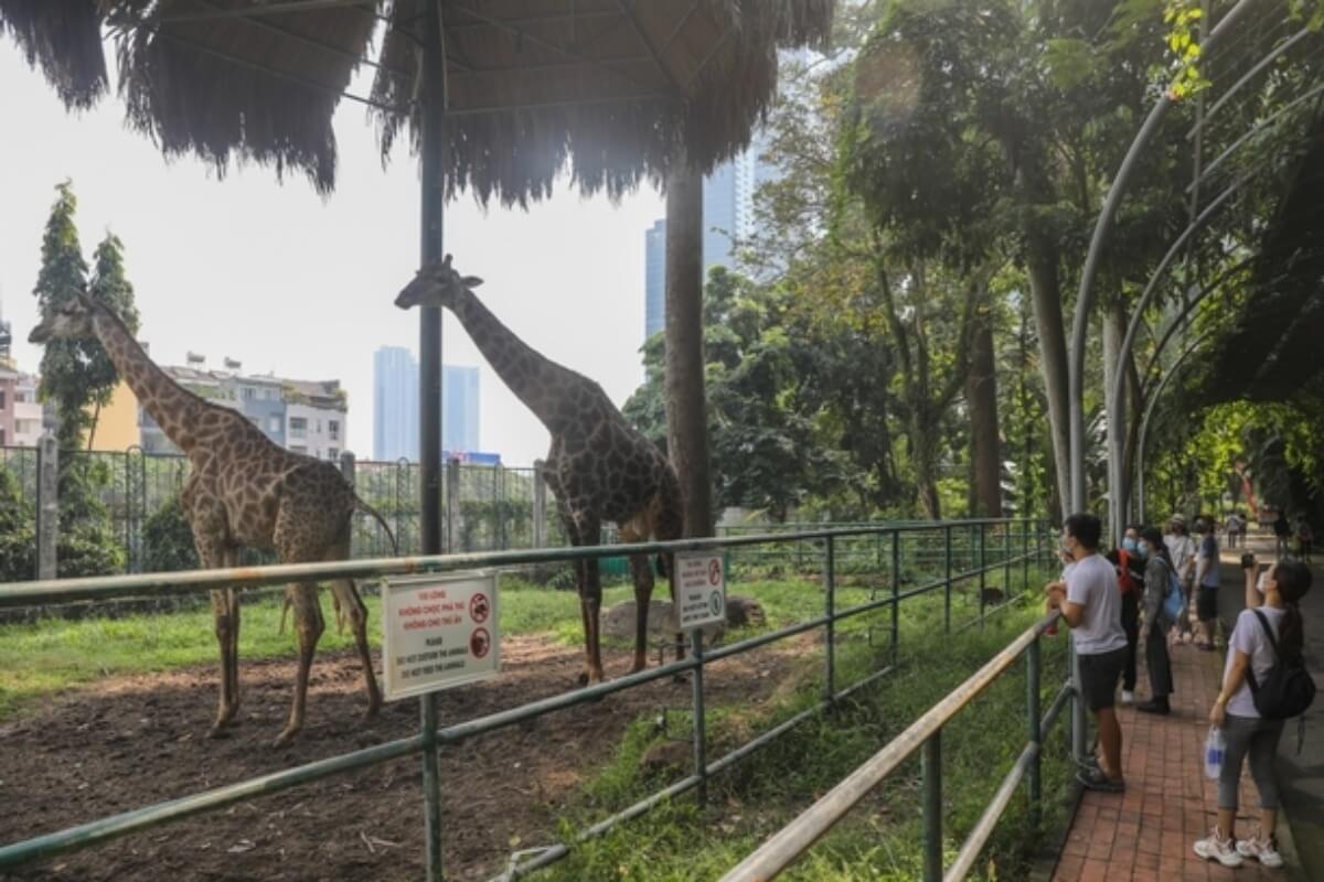 サイゴン動植物園の売上回復、昨対比3倍の利益を記録