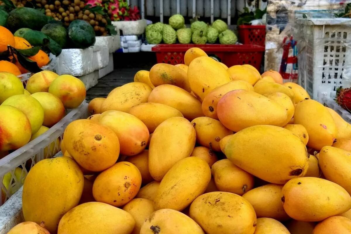 中国産青果物、ベトナム国内での人気高まる