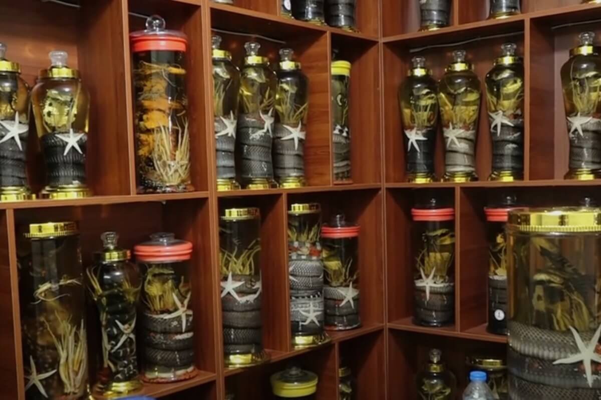 ハノイ警察、野生動物入りの酒100瓶を押収