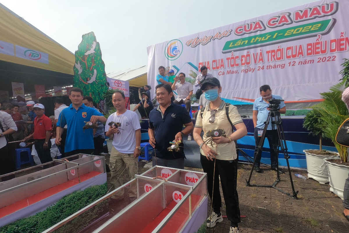 「第1回 蟹レース大会」開催、カマウ省で初の試み