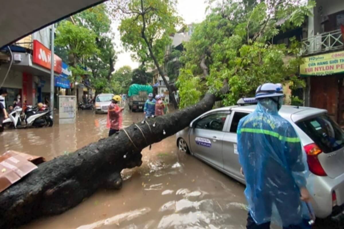 ベトナム、2023年は例年より嵐・熱帯低気圧が少ない予報