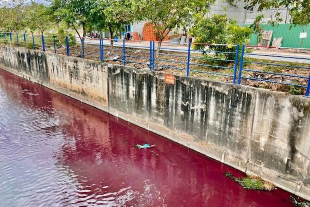 トゥードゥック市の運河、真紅に染まり悪臭を放つ