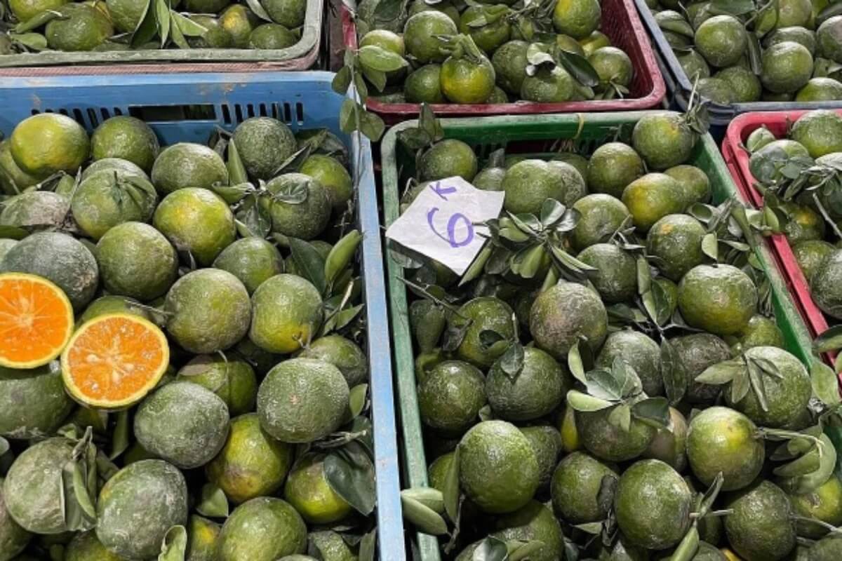 ベトナムの果物販売、1ヶ月前と比較して最大50％の値下がり