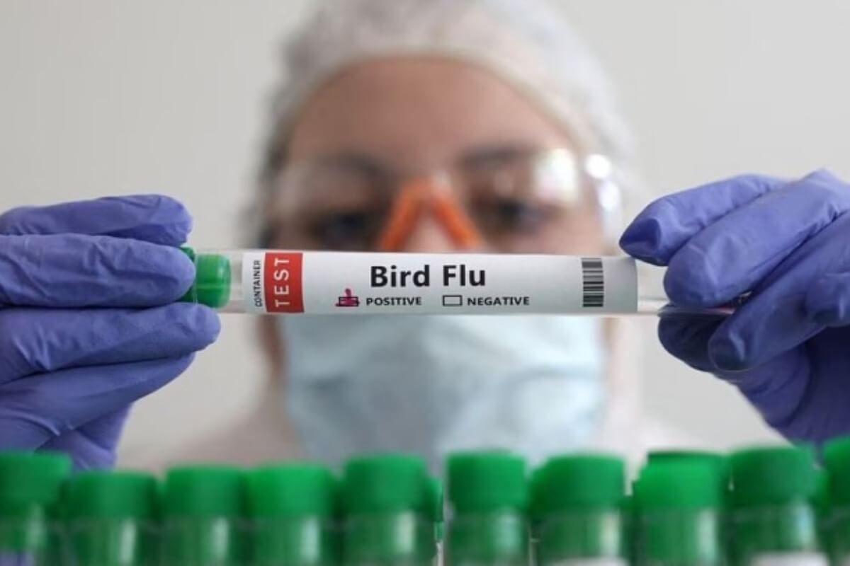 鳥インフルエンザ感染リスク、ベトナム入国者の監視を強化へ