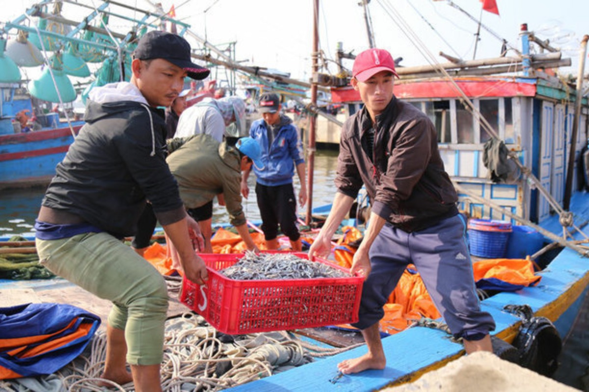 ベトナムの水産物輸出が低迷、主要市場で最大50％減