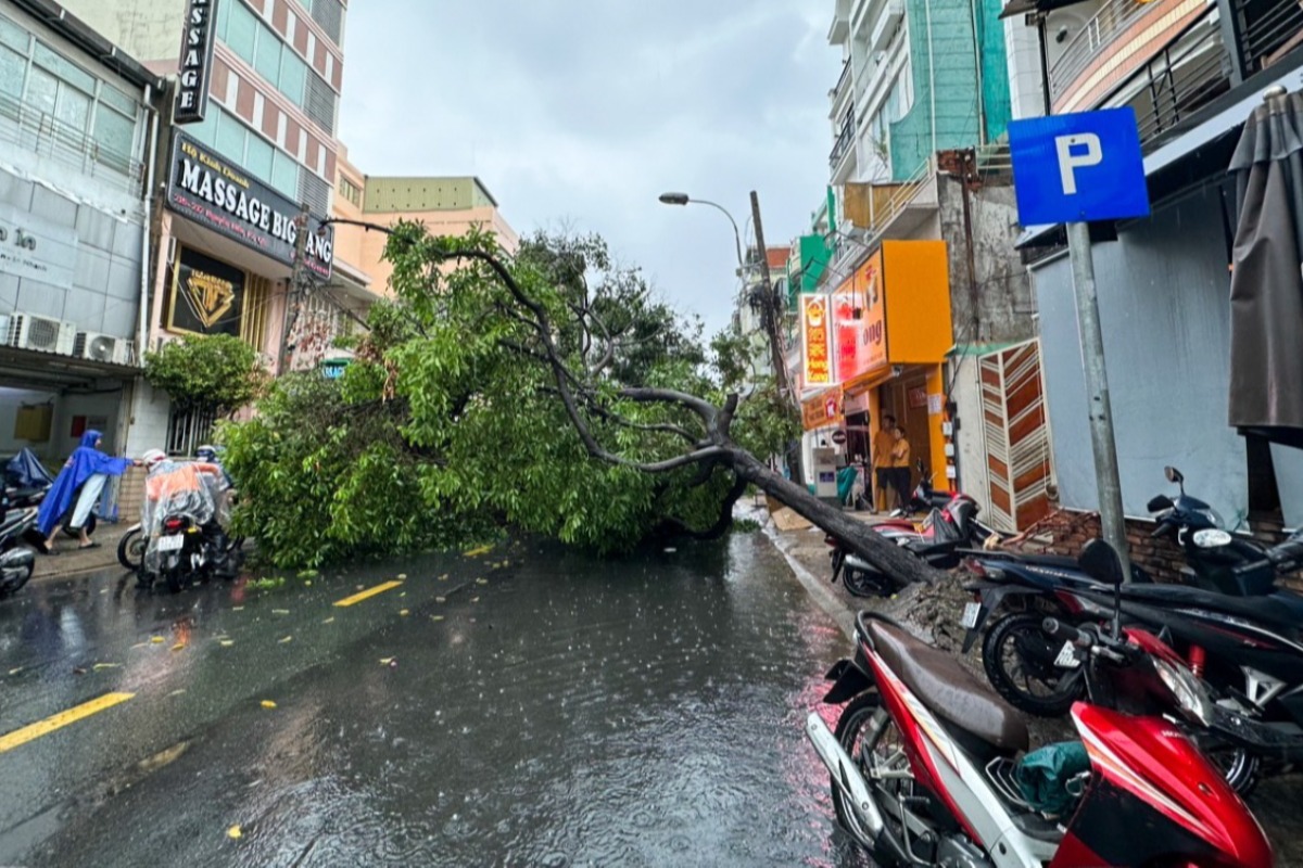 ホーチミン市の豪雨被害、道路の冠水と街路樹の倒木