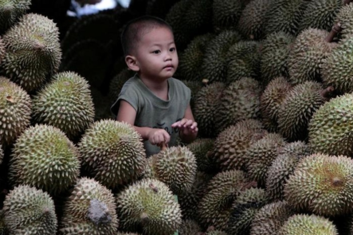 タイとベトナムのドリアン戦争、中国への輸出競争が進む