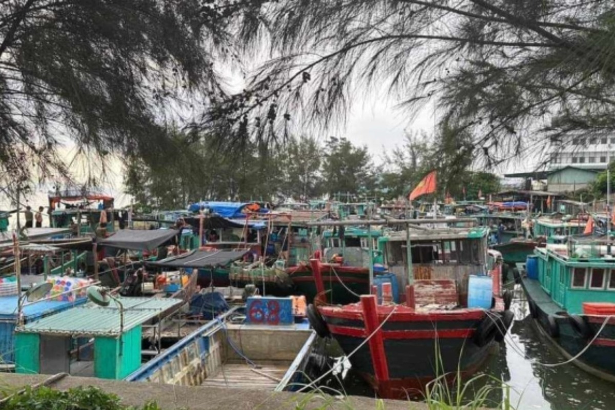 台風4号「タリム」の影響、ベトナムで約3万人が避難